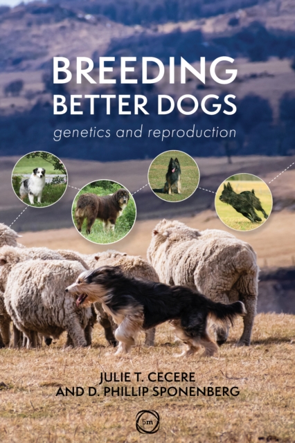 Breeding Better Dogs : Genetics and Reproduction, Paperback / softback Book
