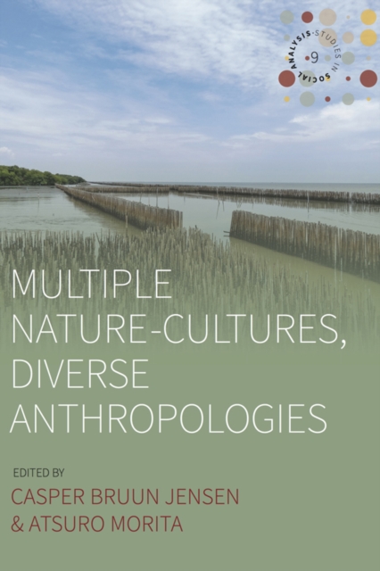 Multiple Nature-Cultures, Diverse Anthropologies, EPUB eBook