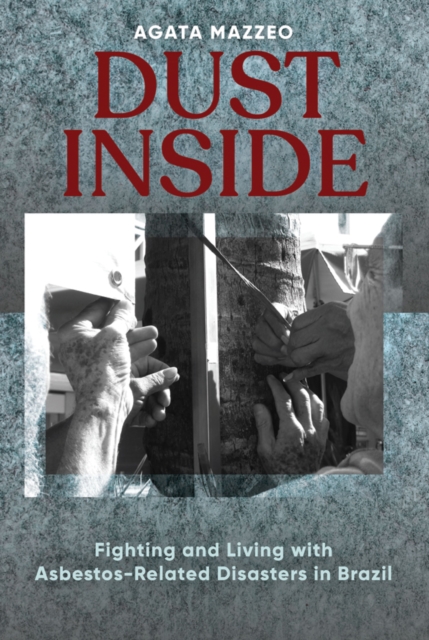 Dust Inside : Fighting and Living with Asbestos-Related Disasters in Brazil, EPUB eBook