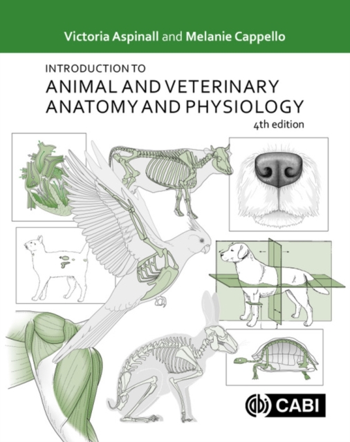 Introduction to Animal and Veterinary Anatomy and Physiology, Paperback / softback Book