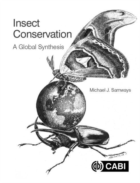 Insect Conservation : A Global Synthesis, Paperback / softback Book
