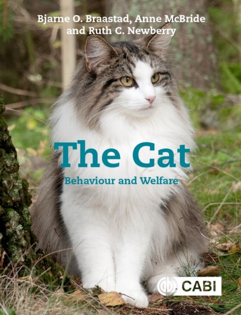 The Cat : Behaviour and Welfare, Paperback / softback Book