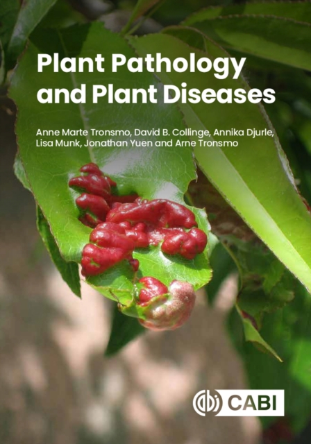 Plant Pathology and Plant Diseases, Paperback / softback Book
