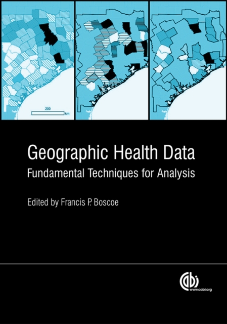 Geographic Health Data : Fundamental Techniques for Analysis, EPUB eBook