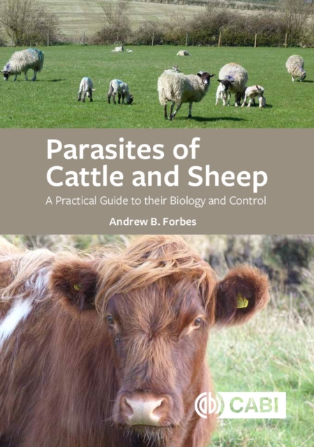 Parasites of Cattle and Sheep : A Practical Guide to their Biology and Control, Paperback / softback Book