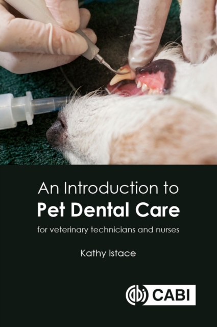 Introduction to Pet Dental Care, An : For Veterinary Nurses and Technicians, Paperback / softback Book