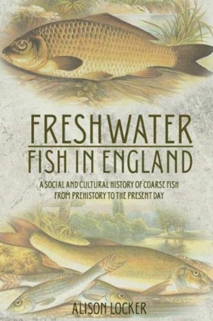 Freshwater Fish in England : A Social and Cultural History of Coarse Fish from Prehistory to the Present Day, Paperback / softback Book