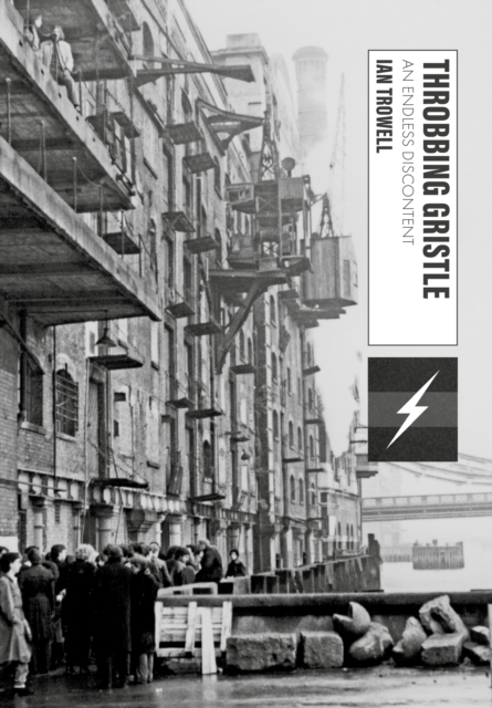 Throbbing Gristle : An Endless Discontent, PDF eBook