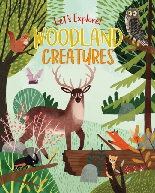 Let's Explore! Woodland Creatures, Hardback Book