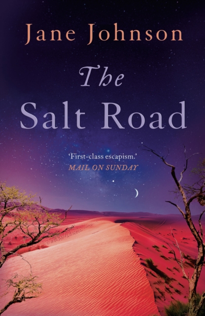 The Salt Road, Paperback / softback Book
