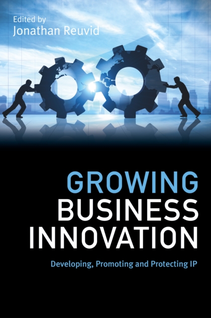 Growing Business Innovation : Developing, Promoting and Protecting IP, Paperback / softback Book