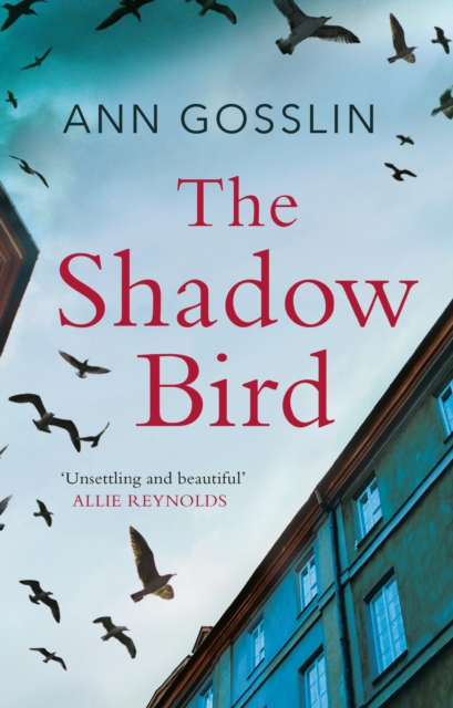 The Shadow Bird : A gripping book full of twists and turns, Paperback / softback Book