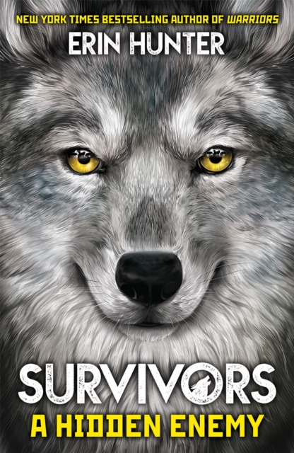 Survivors Book 2 : A Hidden Enemy, EPUB eBook