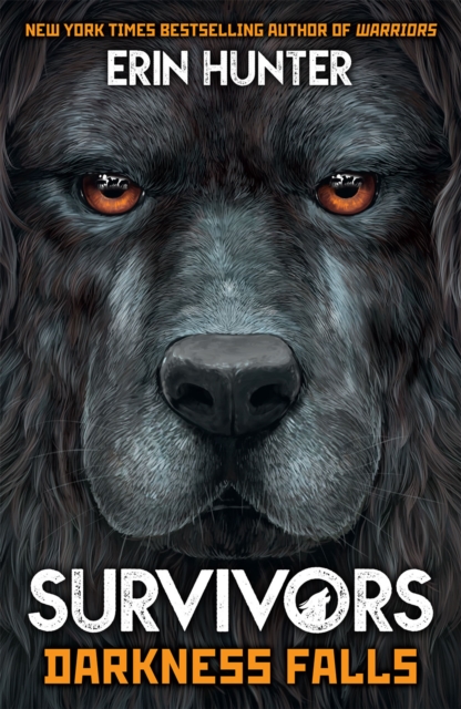 Survivors Book 3 : Darkness Falls, EPUB eBook