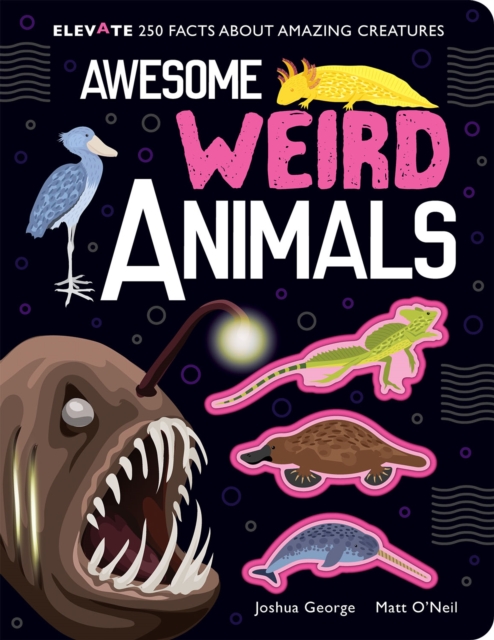 Awesome Weird Animals, Hardback Book