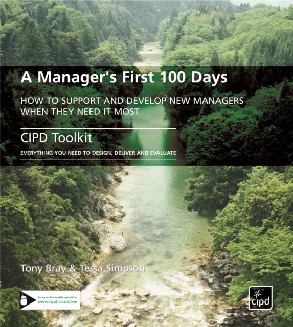 A Manager's First 100 Days, PDF eBook
