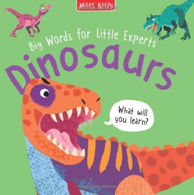 Big Words for Little Experts: Dinosaurs, Hardback Book