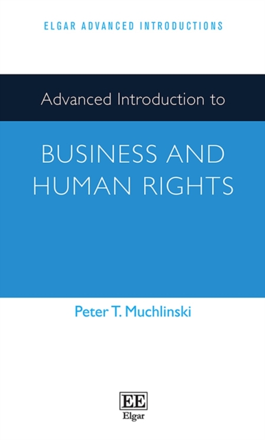 Advanced Introduction to Business and Human Rights, PDF eBook