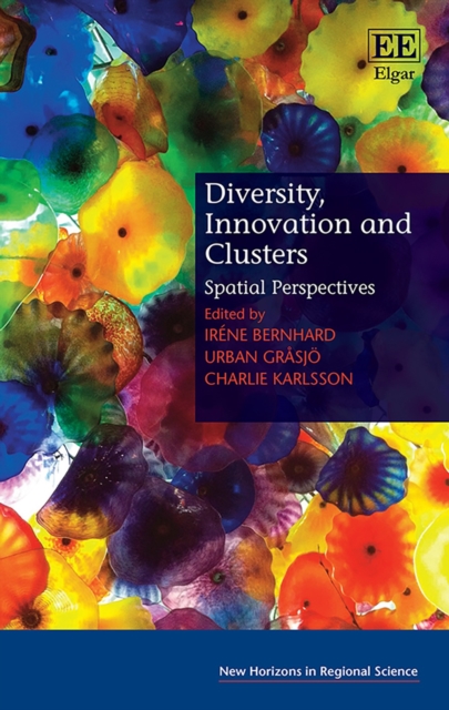 Diversity, Innovation and Clusters : Spatial Perspectives, PDF eBook