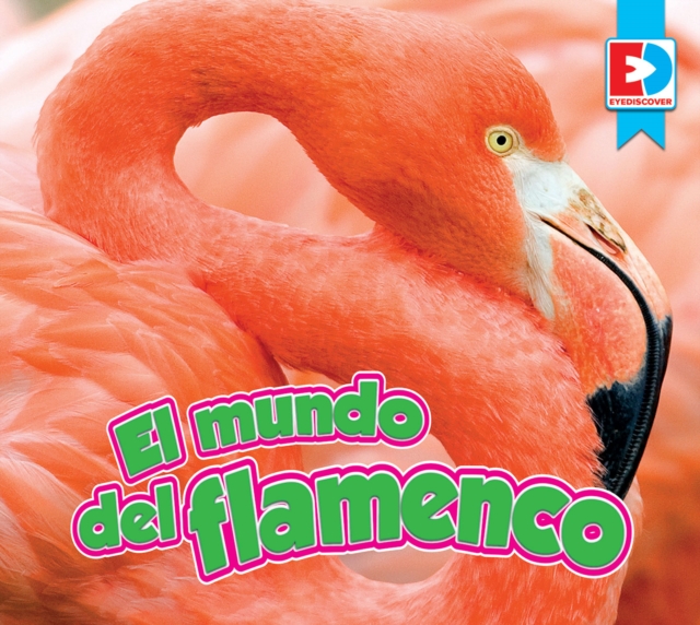 El mundo del flamenco, EPUB eBook
