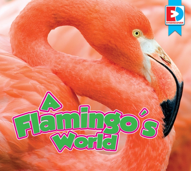 A Flamingo's World, EPUB eBook