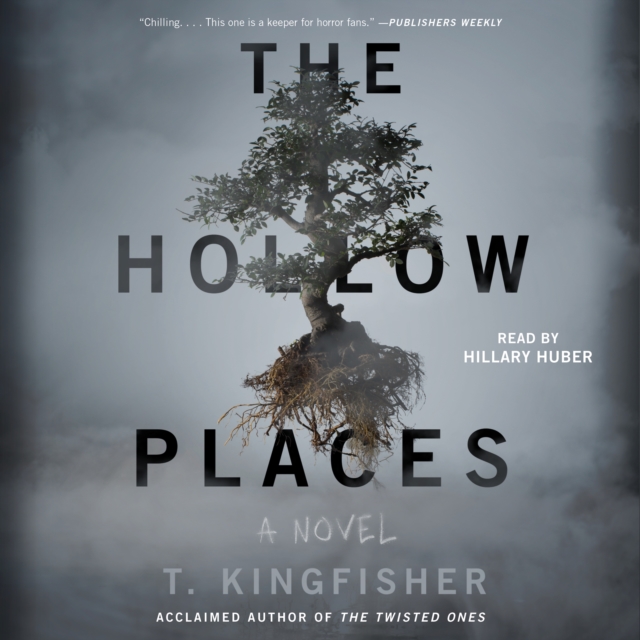 The Hollow Places, eAudiobook MP3 eaudioBook