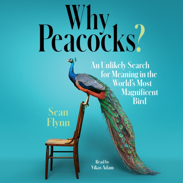 Why Peacocks? : An Unlikely Search for Meaning in the World's Most Magnificent Bird, eAudiobook MP3 eaudioBook