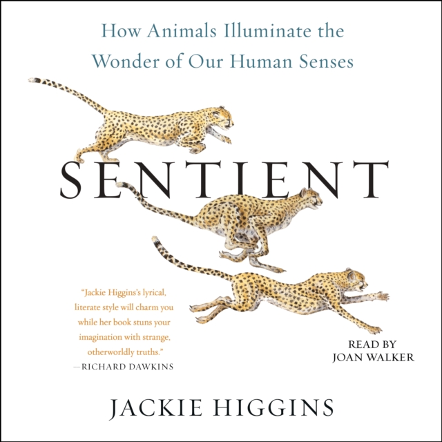 Sentient : How Animals Illuminate the Wonder of Our Human Senses, eAudiobook MP3 eaudioBook