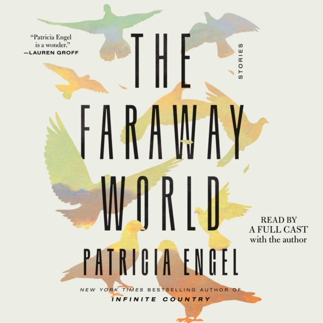 The Faraway World : Stories, eAudiobook MP3 eaudioBook