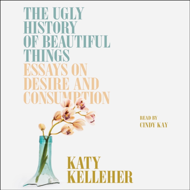 The Ugly History of Beautiful Things : Essays on Desire and Consumption, eAudiobook MP3 eaudioBook