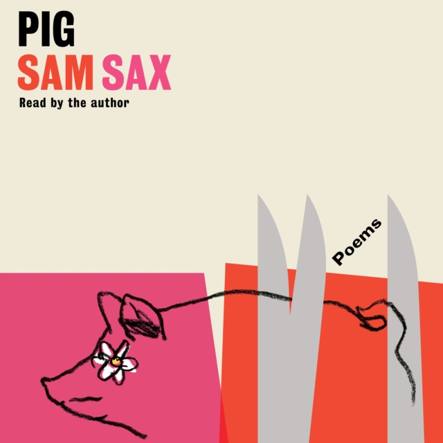 Pig : Poems, eAudiobook MP3 eaudioBook