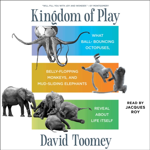 Kingdom of Play : What Ball-bouncing Octopuses, Belly-flopping Monkeys, and Mud-sliding Elephants Reveal about Life Itself, eAudiobook MP3 eaudioBook