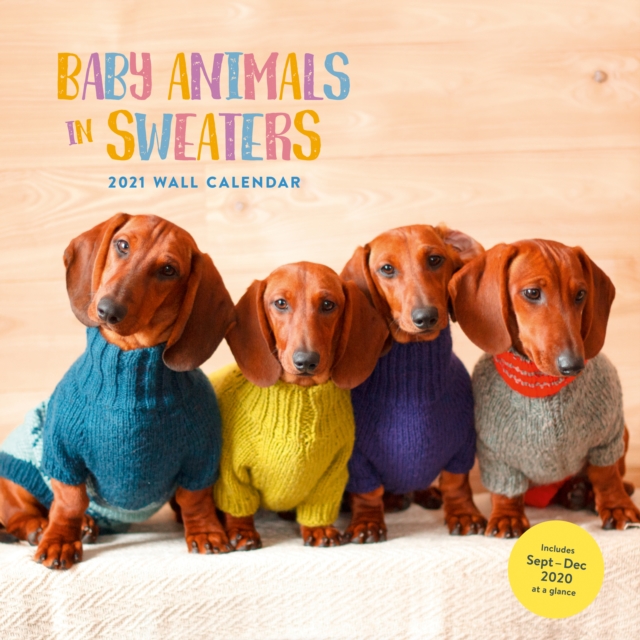Baby Animals in Sweaters 2021 Wall Calendar, Calendar Book