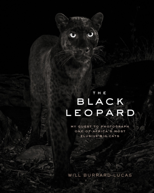 The Black Leopard : My Quest to Photograph One of Africa's Most Elusive Big Cats, EPUB eBook