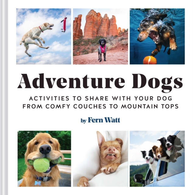 Adventure Dogs : Activities to Share with Your Dog-from Comfy Couches to Mountain Tops, Hardback Book