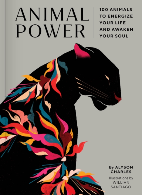 Animal Power : 100 Animals to Energize Your Life and Awaken Your Soul, Hardback Book