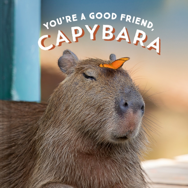 You're a Good Friend, Capybara, Hardback Book