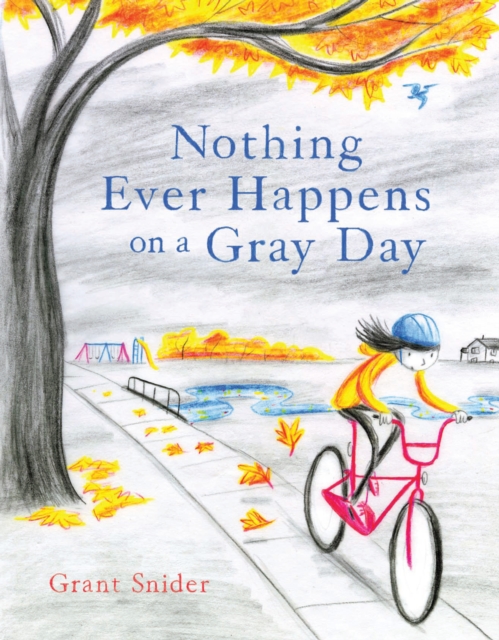 Nothing Ever Happens on a Gray Day, Hardback Book