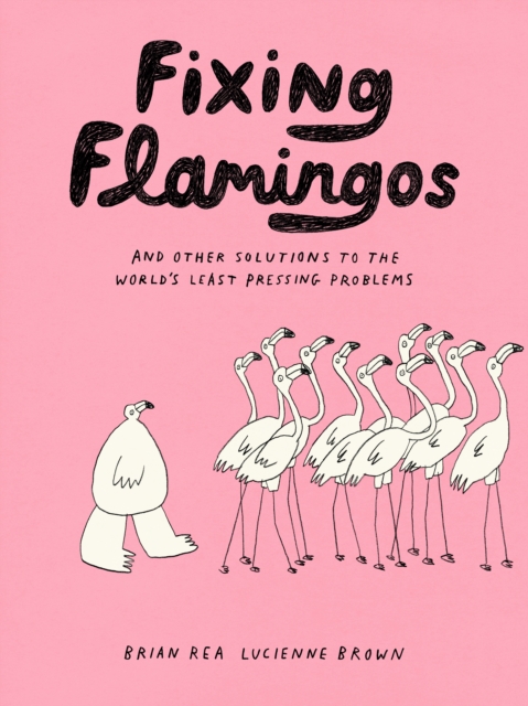 Fixing Flamingos : And Other Solutions to the World's Least Pressing Problems, Paperback / softback Book