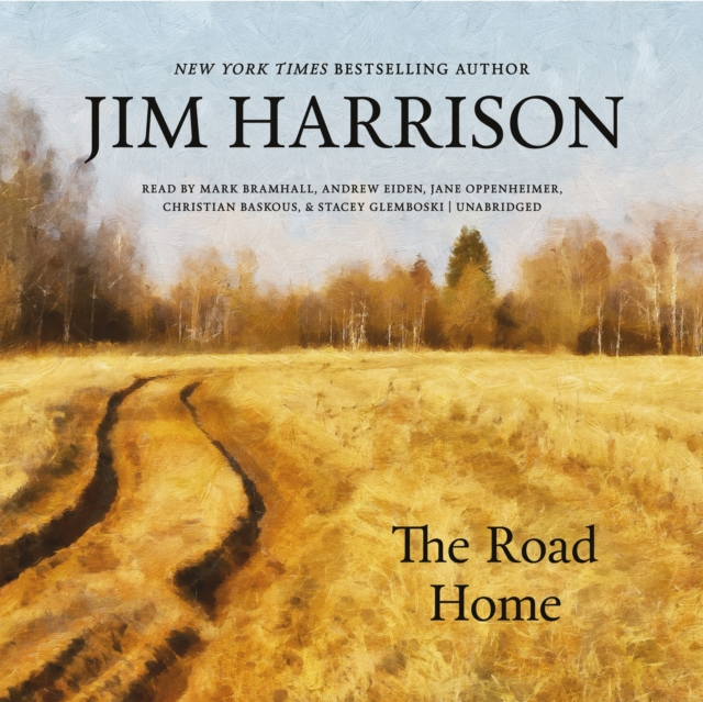 The Road Home, eAudiobook MP3 eaudioBook