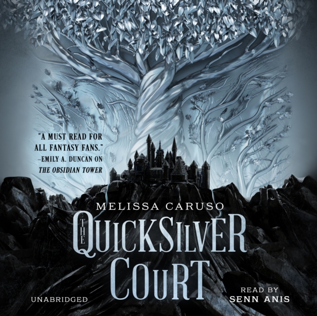 The Quicksilver Court, eAudiobook MP3 eaudioBook