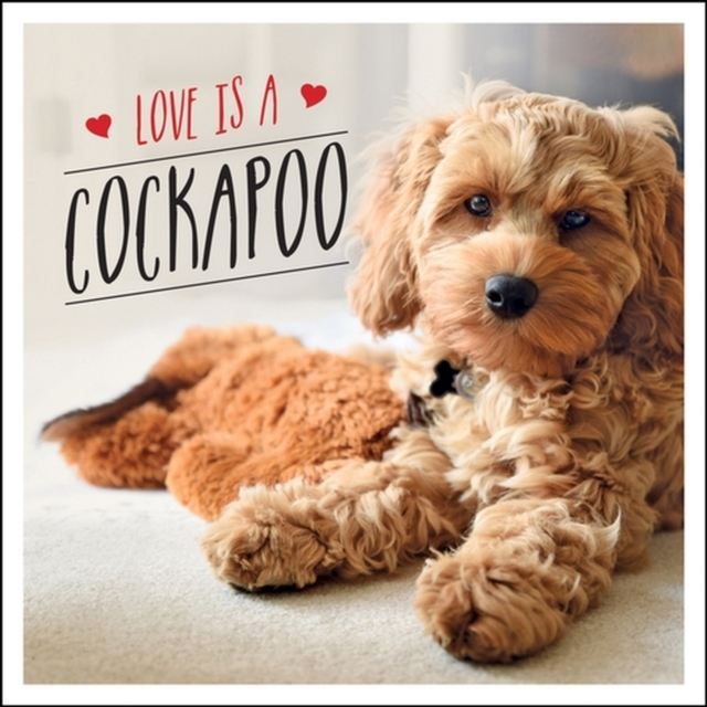Love is a Cockapoo : A Dog-Tastic Celebration of the World's Cutest Breed, EPUB eBook