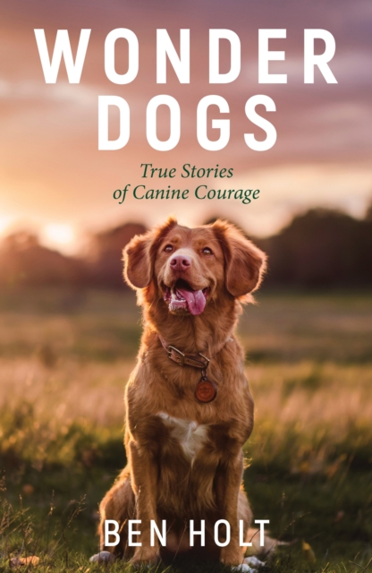 Wonder Dogs : Inspirational True Stories of Real-Life Dog Heroes That Will Melt Your Heart, EPUB eBook