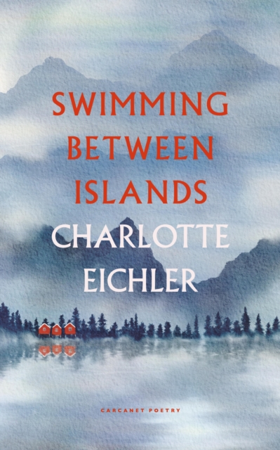 Swimming Between Islands, EPUB eBook
