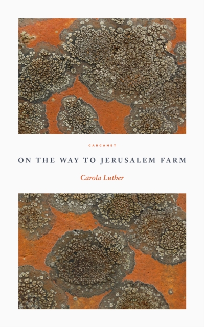On the Way to Jerusalem Farm, Paperback / softback Book
