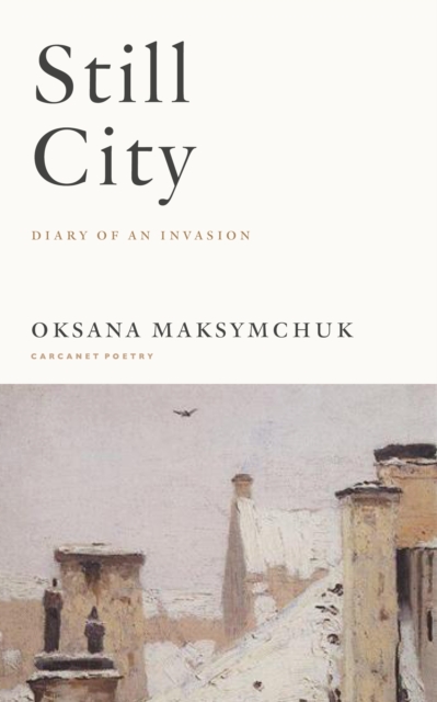 Still City : A Diary of an Invasion, Paperback / softback Book