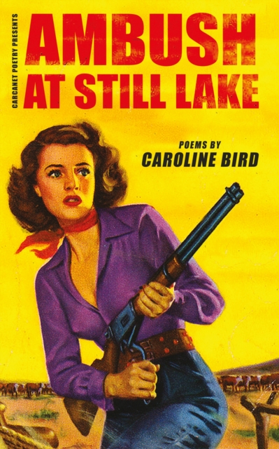 Ambush at Still Lake, Paperback / softback Book