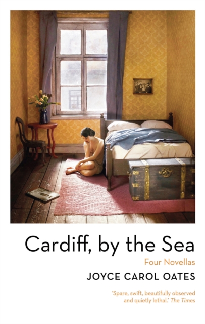 Cardiff, by the Sea, Hardback Book