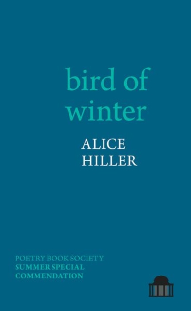 bird of winter, Paperback / softback Book