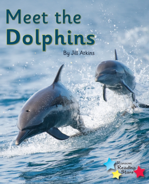 Meet the Dolphins : Phonics Phase 5, PDF eBook